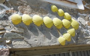 D32E5795-E113-45F6-B8BA-F112484E29D2