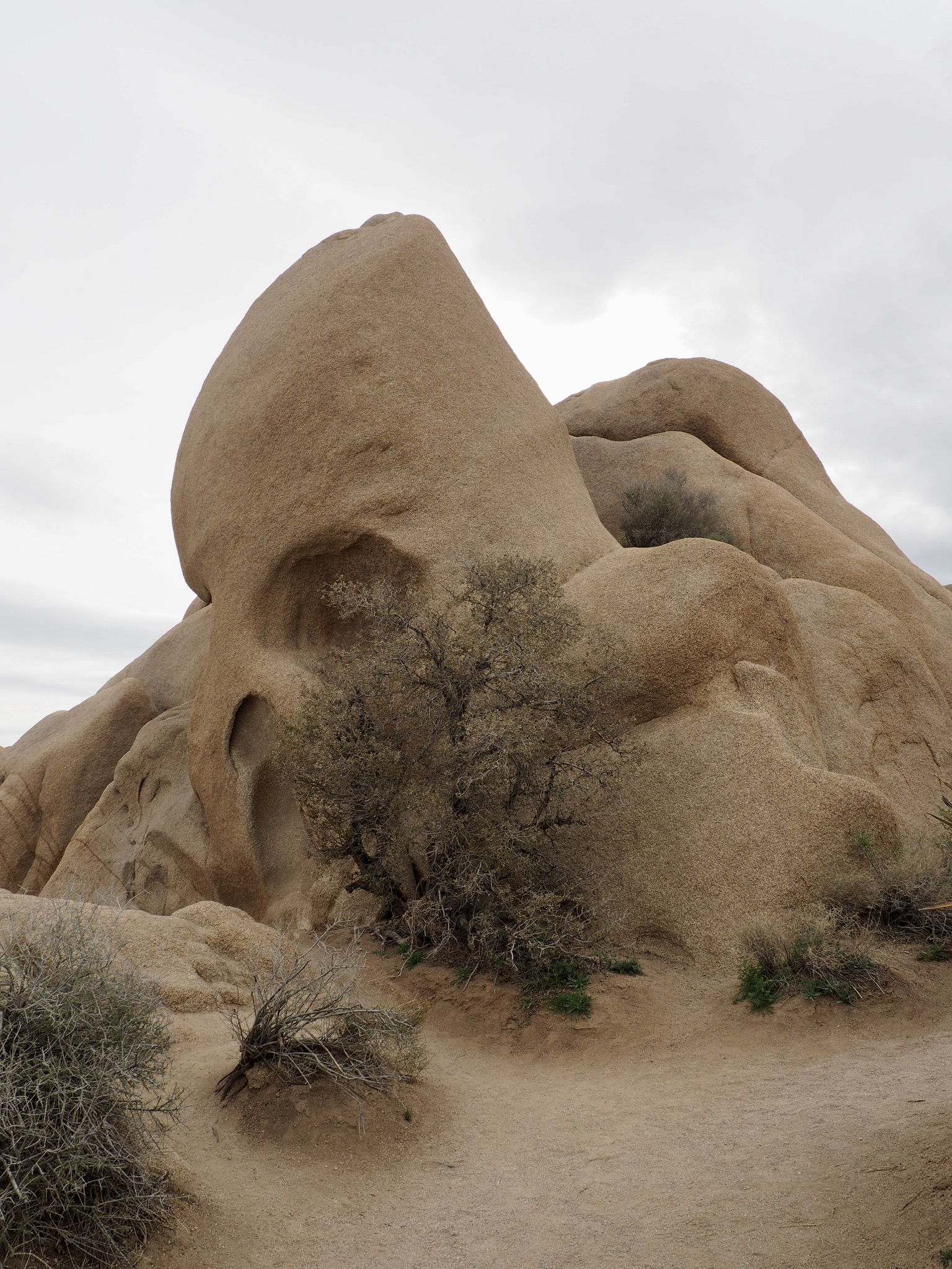 Joshua Tree: Rocks Steal the Show | Books and my backpack